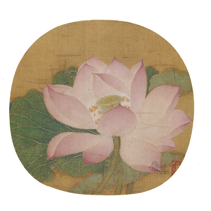 出水芙蓉图