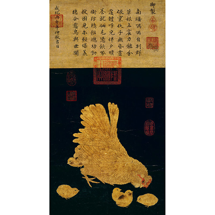 子母鸡图