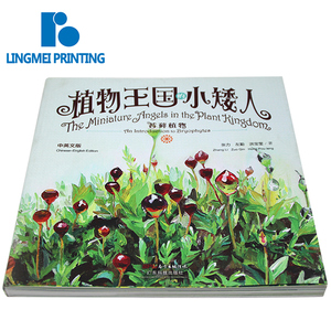 Professional OEM/ODM printing service Manufacturer English kid story book wholesale