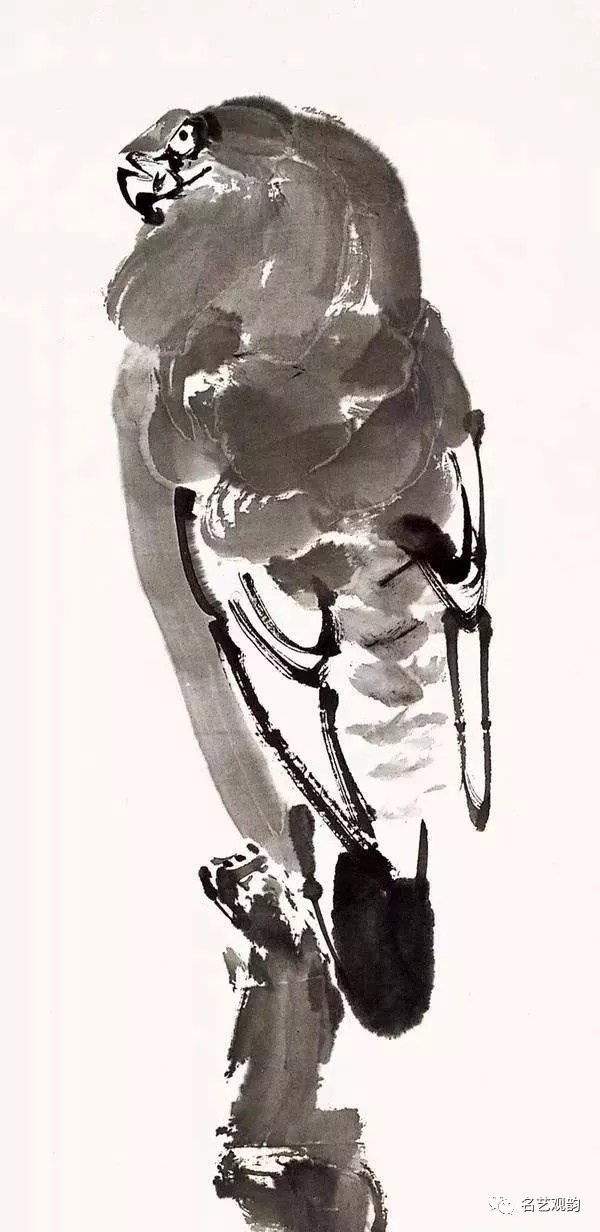 萧朗   画鹰
